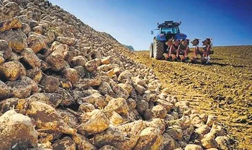 Türkşeker’den çiftçiye 122 milyon lira destek