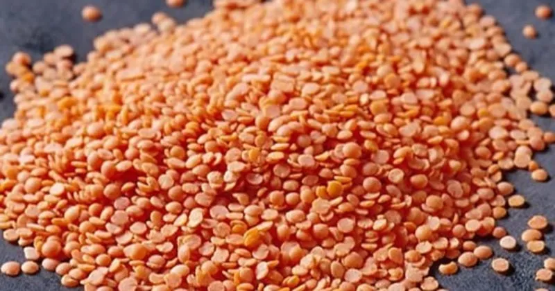 kirmizi mercimegin faydalari mercimek yemenin yararlari nelerdir saglik haberleri