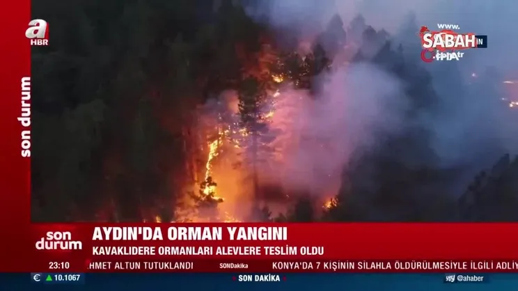 Aydın'da orman yangını | Video
