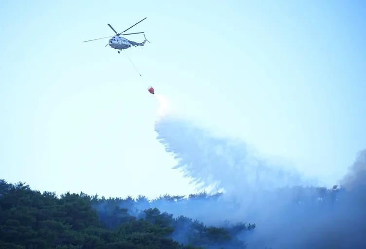 Define ararken ormanı yaktı fotoğrafını çekip sevgilisine attı: Sakın bana orası olduğunu söyleme!