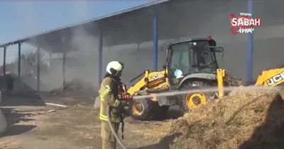 Hayvan çiftliğindeki saman yangını korkuttu | Video