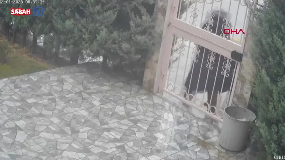 Ankara'da başıboş köpek dehşeti! videosunu izle | …