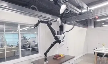 Tavanda yürüyen ‘hizmetçi’ robot