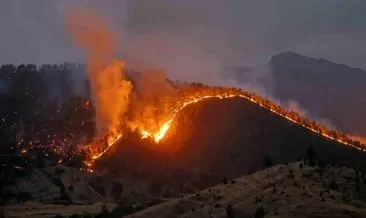 Kahramanmaraş'ta orman yangını evlere sıçradı: 3 ev alevlere teslim olurken 18 ev tahliye edildi #kahramanmaras