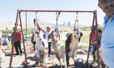 Kurbanlar yine açık alanlarda kesildi