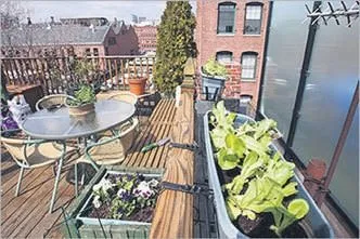 Balkon bahçeleriyle şehre baş kaldırın!