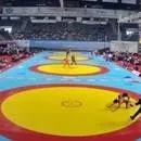 Milli takım Balkan şampiyonu