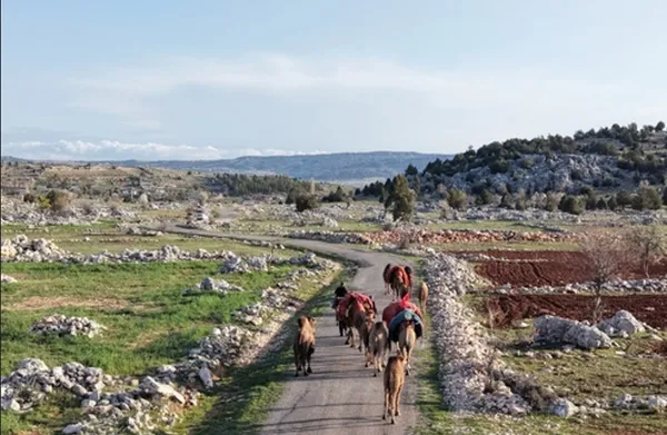 toroslara-goc-basladi-sarikecili-yorukler-gelenegi-yasatiyor-1777470928628.jpg