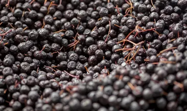 Vücutta hastalık bırakmıyor! Bağışıklık sistemini 8 kat güçlendiren mucizevi meyve