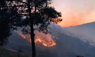 Kahramanmaraş’ta yangın: 100 hektar kül oldu