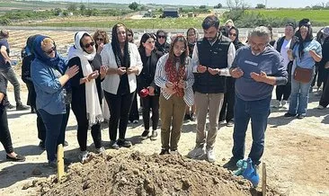 SON DAKİKA | Bahar Aksu Şişli'de sokak ortasında katledilmişti! Kan donduran cinayette miras detayı #edirne