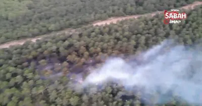 Son Dakika: İstanbul Kayışdağı’nda orman yangını | Video