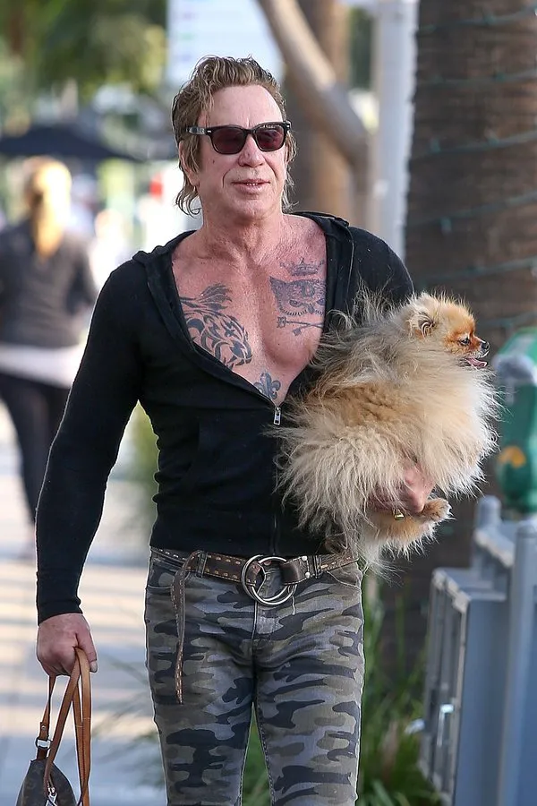Ünlü aktör Mickey Rourke estetik operasyonların kurbanı oldu