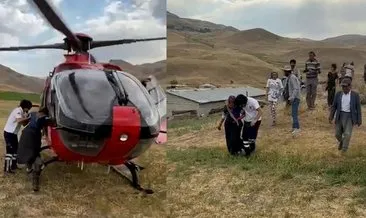 Arı sokması sonucu fenalaştı: Ambulans helikopterle hastaneye ulaştırıldı