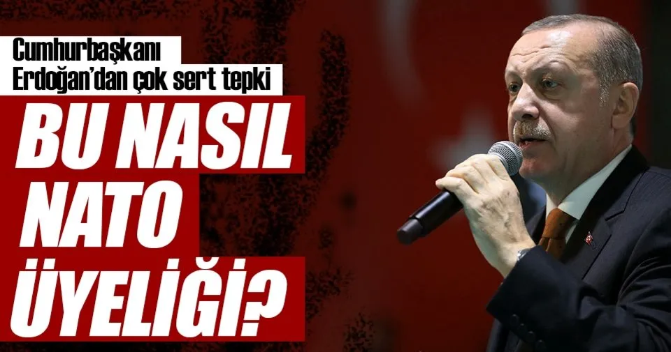 Omurlerinde Osmanli Tokadi Yememisler Son Dakika Haberler
