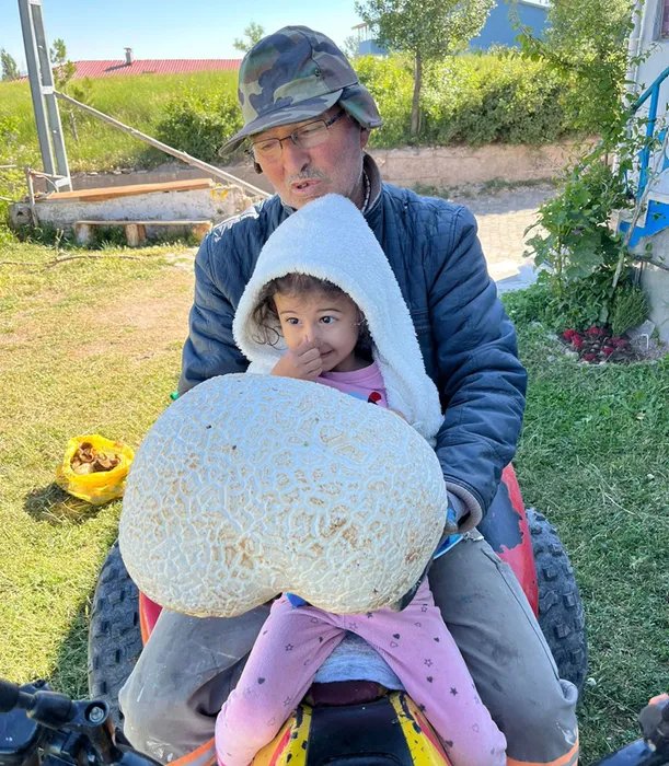 Sivas’ta 1900 rakımlı arazide bulundu: Tam 15 kilo!