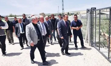 Sokak hayvanlarına doğal yaşam alanı #corum