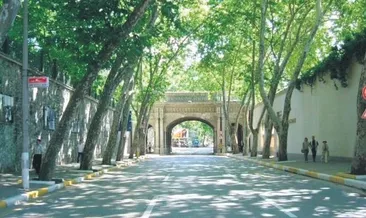 Hasta olmayan ağaçlar da kesildi