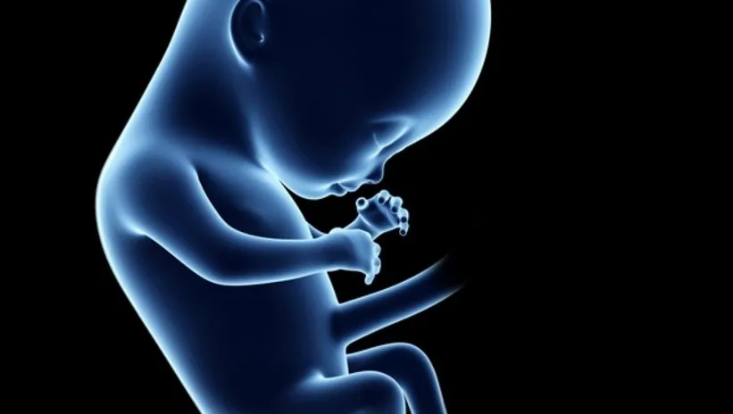 38. HAFTA HAMİLELİK BELİRTİLERİ NELERDİR?