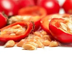 Geçmek bilmeyen öksürüğü dakikalar içinde tarihe gömüyor! Karışımı içtikten sonra geceleri rahat uyuyacaksınız…