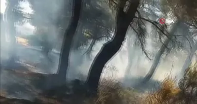 Son Dakika: Saros Körfezi’nde orman yangını | Video