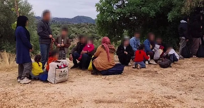 Göçmen kaçakçılarına operasyon