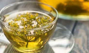 Rezene çayı nasıl yapılır? Rezene çayı faydaları nelerdir?