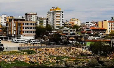 İdil'de hastalık alarmı! Hayvan giriş çıkışlarına iki ay yasak #sirnak
