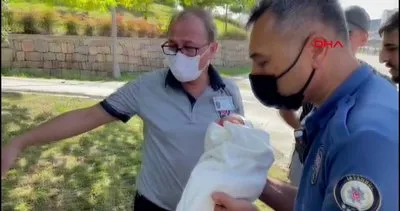 Son dakika: İstanbul Arnavutköy’de parkta yeni doğmuş bebek bulundu | Video