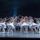 Kuğu Gölü Balesi’nin ilk gösterimi yapıldı