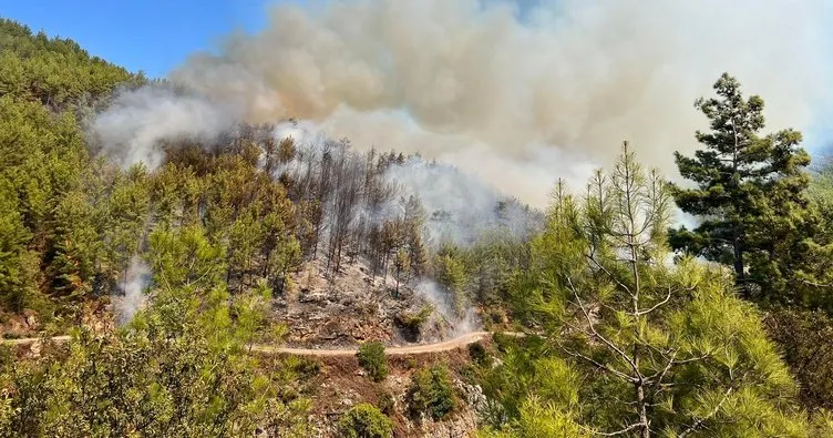Alanya’da orman yangını söndürüldü