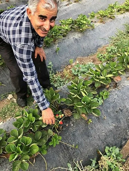 28 yıllık hasret sona erdi! Terörden temizlendi tarım başladı... - 3