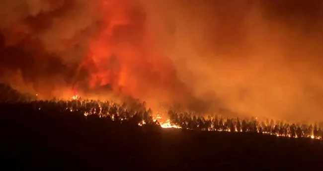 Fransa'da yangın! Dakikada 10 futbol sahası büyüklüğünde alan yanıyor