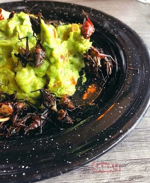 Eda Taşpınar Meksika tatilinde ne yiyeceğini şaşırdı! Sosyetik güzel Eda Taşpınar marjinallikte sınırları zorladı