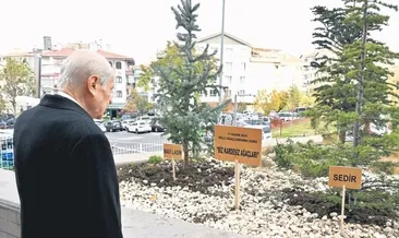 MHP’den ‘Biz Kardeşiz Ağaçları’