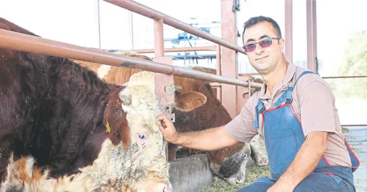 Devlet desteği aldı şimdi çiftliği var