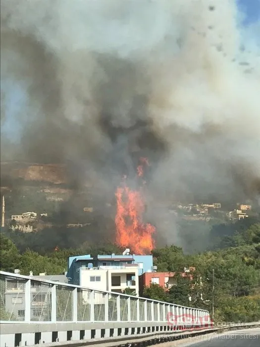 İskenderun'da son dakika! Yangın çıktı, alevler yerleşim ...