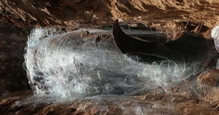 Kıyıya vuran balina üniversite yerleşkesine gömüldü