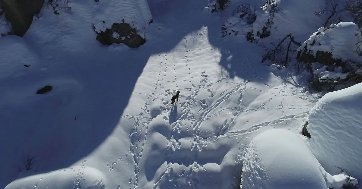 zemheri ne demek zemheri ayi ne zaman basliyor ne zaman bitiyor son dakika haberler