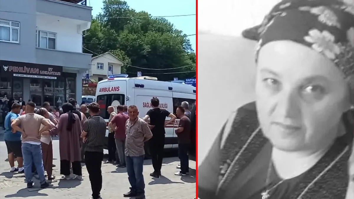 Zonguldak’ta arı dehşeti! Kardeşine yardım etmek isterken canından oldu Zonguldak’ta arı dehşeti! Kardeşine yardım etmek isterken canından oldu