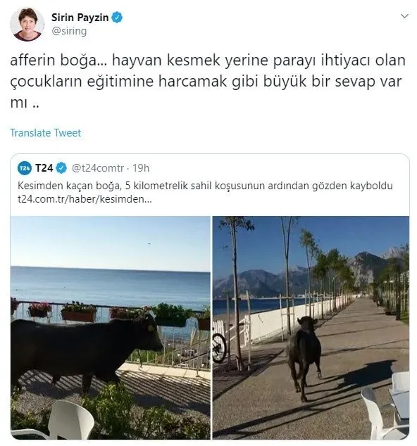 Şirin Payzin'in Kurban Bayramı paylaşımı tepki çekti