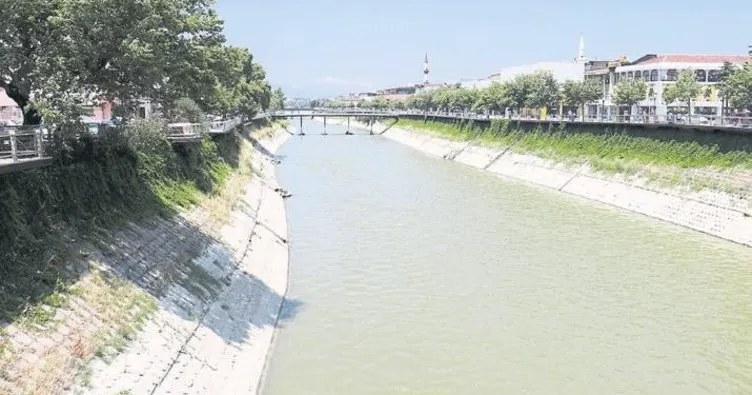 Asi Nehri’nde balık ölümleri