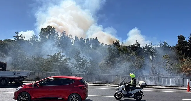 Bakırköy’de ağaçlık alanda yangın: Alevler kontrol altına alındı