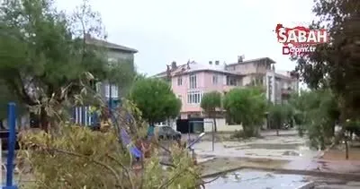 Son dakika haberi... Tekirdağ’da ağaçları deviren çatıları uçuran hortum dehşeti | Video