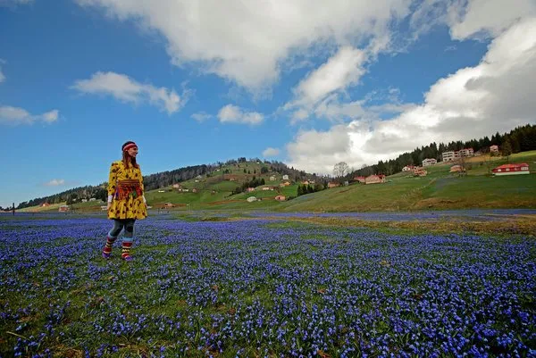 'Mor yayla'ya ziyaretçi akını