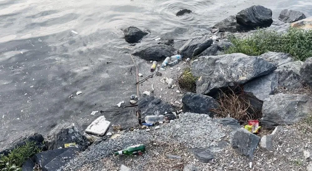 Vatandaşlar rahatsız! İstanbul'un "Altın Boynuz"u Haliç, çöpe teslim