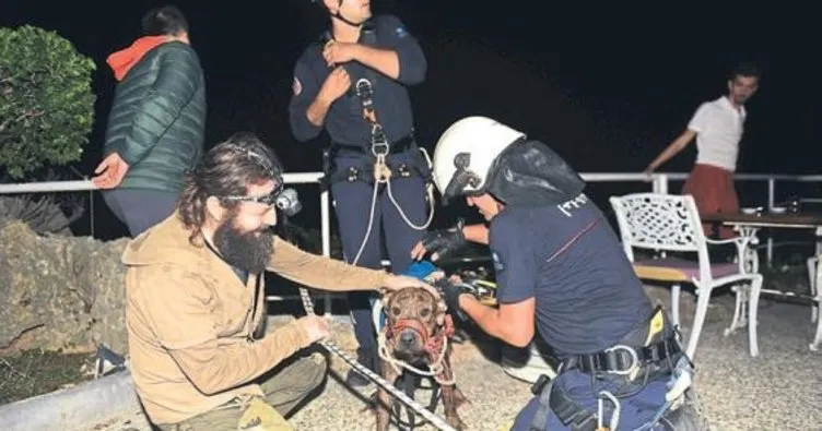 Deniz polisinin köpek alarmı