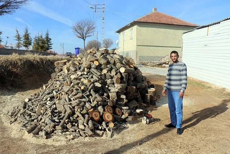 Yozgat'ta akıllara durgunluk veren olay: Kesilen ağacın içinden ay yıldız figürü çıktı