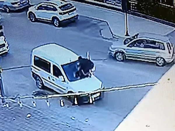 1793171600358.jpg