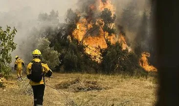 Yunanistan’da yangın felaketinin bilançosu belli oldu